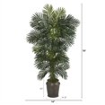 thumbnail image 3 of 78" Golden Cane Artificial Palm Tree in Metal Planter in Green/Charcoal, 3 of 3