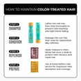 Malibu C Hydrate Color Wellness Shampoo (9 oz) Shampoo for Color