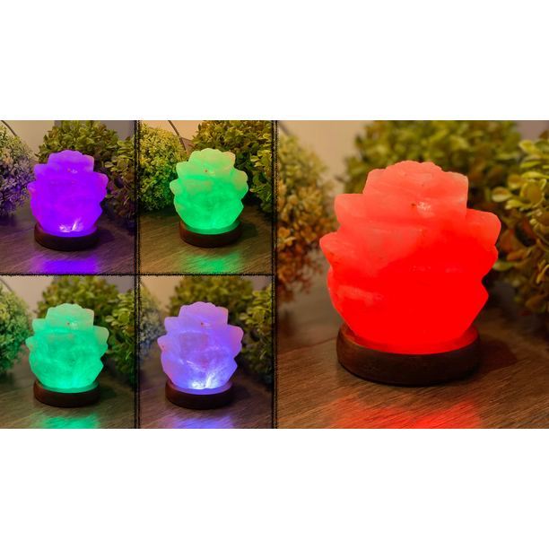 Himalayan Salt Mini Succulent Salt Lamp