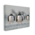 thumbnail image 4 of Stupell Industries Black Skimmer Gang Animals & Insects Photography Gallery Wrapped Canvas Art Print Wall Art, 48 x 36, 4 of 8