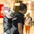 thumbnail image 1 of Pet Shoulder Traveler Backpack Dog Outcrop Bag Breathable Washable Backpack, 1 of 3