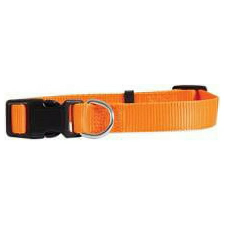 Petmate 8063625 Blaze Orange Nylon Dog Adjustable Collar