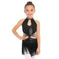 thumbnail image 1 of dPois Robe de Danse Latine Rumba Samba à Franges pour Filles, Taille Découpée, Paillettes, Tenue de Danse de Salon, Justaucorps à Jupe de Ballet, Noir 14, 1 of 6