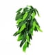 thumbnail image 1 of Plantas acuáticas artificiales Yuyangstore para acuario 30cm Hoja de simulación, 1 of 7