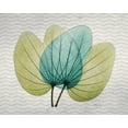 thumbnail image 2 of Koetsier, Albert 24x20 White Modern Wood Framed Museum Art Print Titled - Citrus Orchid Tree, 2 of 4