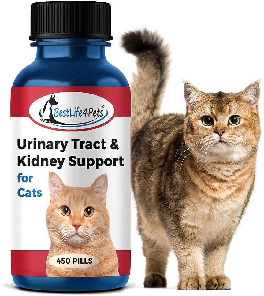 BestLife4Pets Cat UTI Urinary Tract Infection & Kidney Support Treatment -  All Natural Medicine to Stop Frequent Urination - Cats Renal Health and  Bladder Control - Easy to Use Natural Pills - Walmart.com