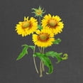 thumbnail image 2 of CafePress - Gaillardia Or Sunflowers By Redoute Maternity Dark - Maternity Dark T-Shirt, 2 of 3