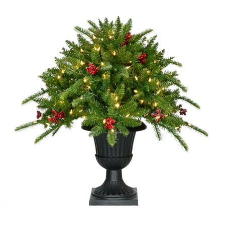 Fraser Hill Farm 2-Ft. Porch Tree in Black Pot with Red Berries and Warm White Lights, FF004PT-024-5GR