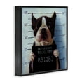 thumbnail image 3 of Stupell Industries Funny Boston Terrier Dog Jail Convicted Police Framed Wall Art, 24 x 24, Design by Lucia Heffernan, 3 of 5