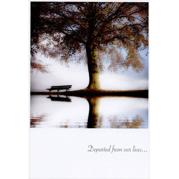 Pictura Old Wooden Bench And Tree Snapshot Sympathy Card