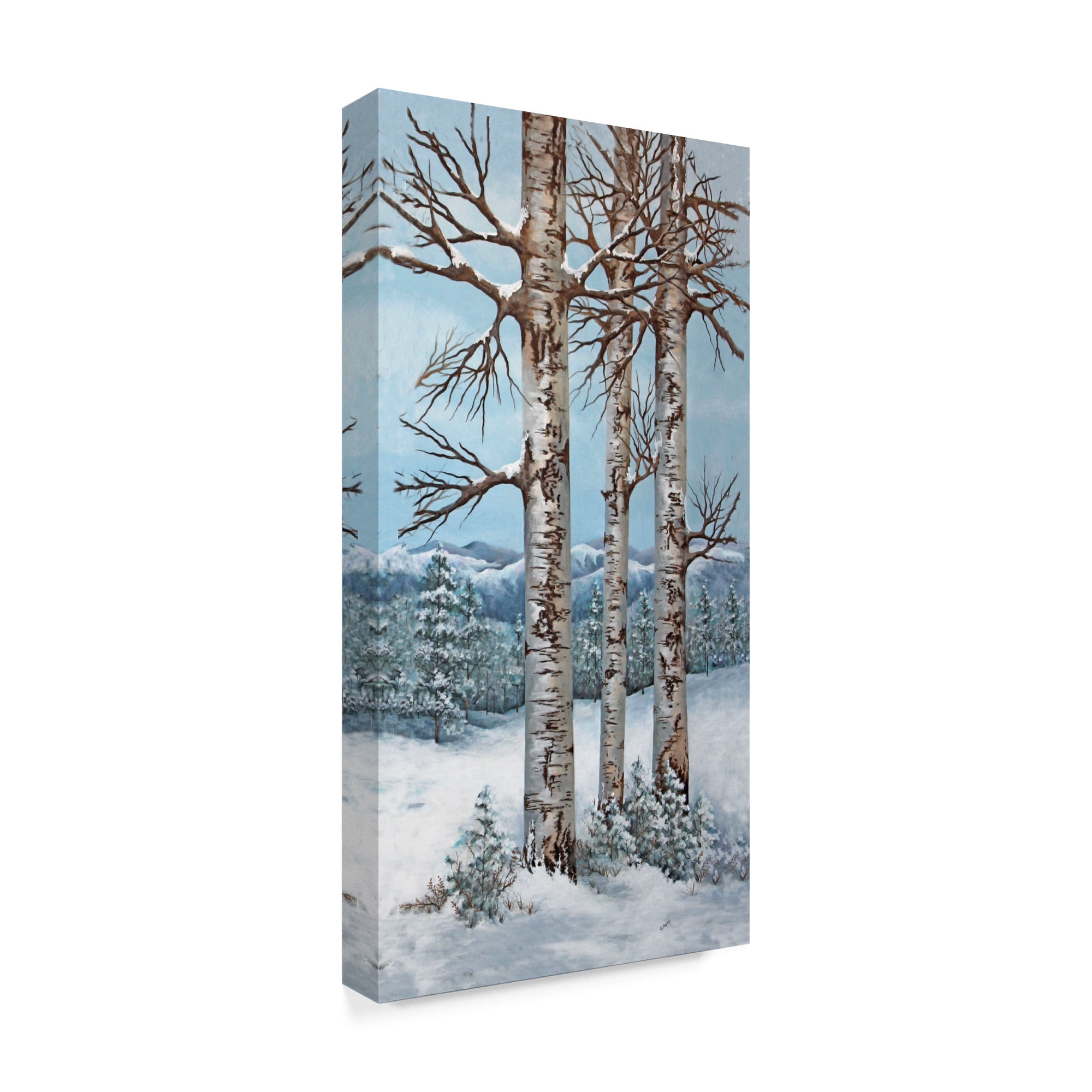 Trademark Fine Art 'Aspen Trio Winter' Canvas Art by Carol J Rupp