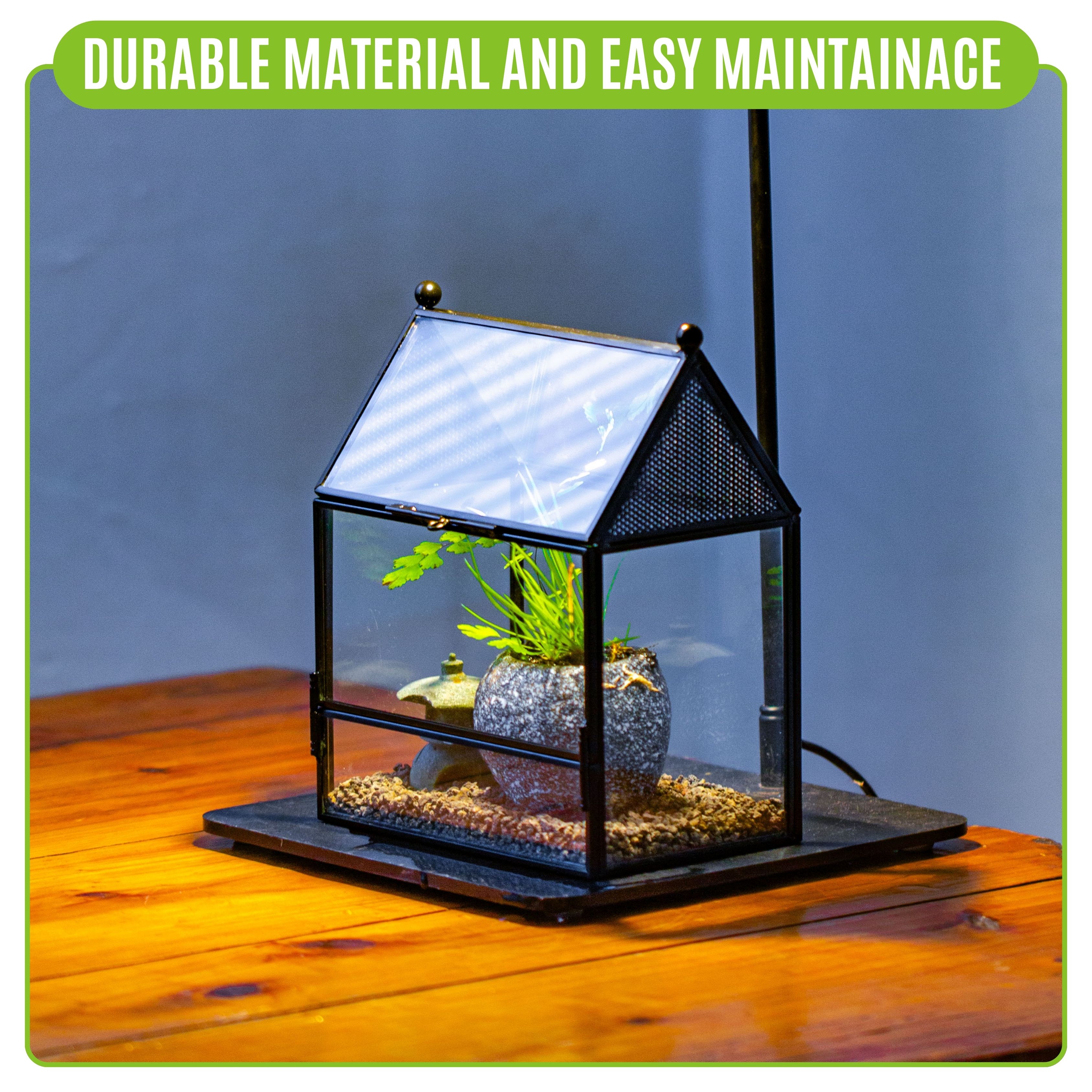 NCYP Glass Enclosure with Vent Holes for Insect, Spiders - 5.8'' x 3.8'' x 6.8'', Small Closed Front Opening Door Succulent Terarium - House Shape Habitat, Home Decor Black (No Plants)