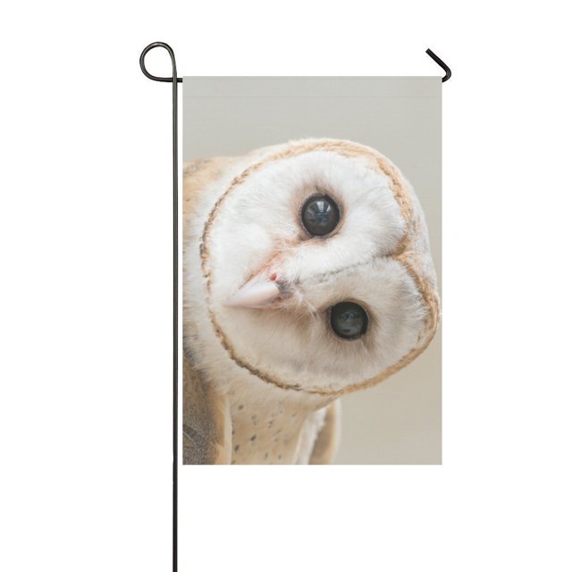 ABPHQTO Bonita bandera blanca para jardín de lechuza común, 30x45 cm