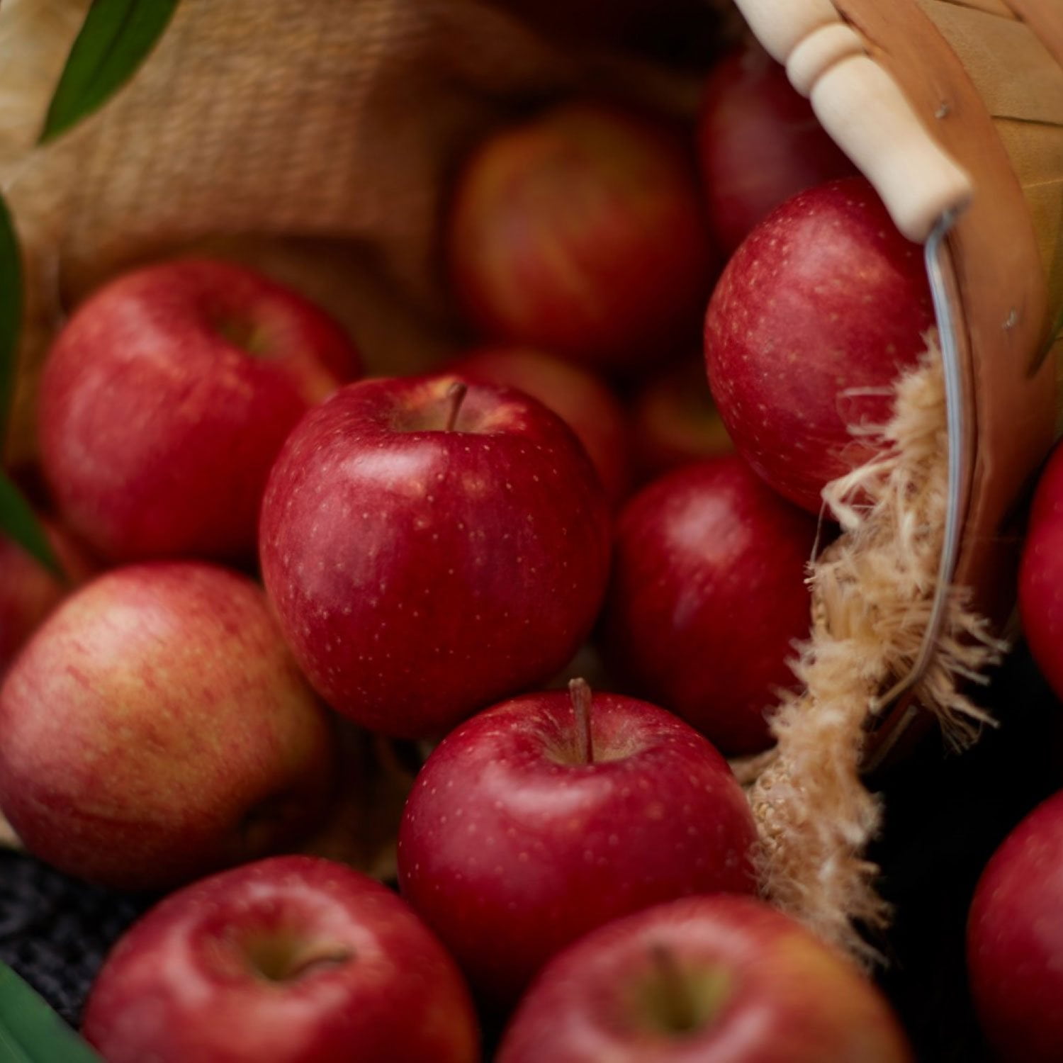 Wild Twist Apples, 4 lbs. - Samsclub.com