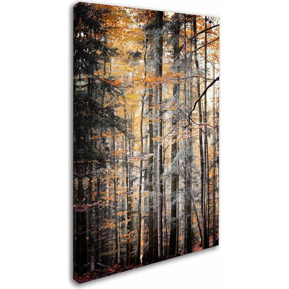 Trademark Fine Art "Autumn Tones" Canvas Art by Philippe Sainte-Laudy