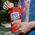 thumbnail image 3 of Hal's New York Kettle Cooked Potato Chips, Gluten Free, 2oz (Barbecue, Pack of 6), 3 of 7