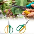 thumbnail image 2 of Clearance! Garden Bud Trimming Leaf Snips Scissors Straight Razor Sharp Pruning L2T4, 2 of 9