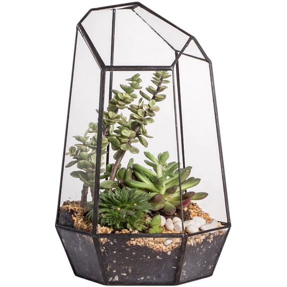 NCYP Geometric Glass Terrarium Planter for Succulent, Small Cacti, Black Irregular Opened Container Pot, Indoor Home Garden Office Tabletop Decor, 6.5" x 5.7" x 9.8" (No Plants, No Door)