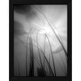 thumbnail image 2 of Shot by Clint 25x32 Black Modern Wood Framed Wall Art Titled - Water Lilly 04, 2 of 6