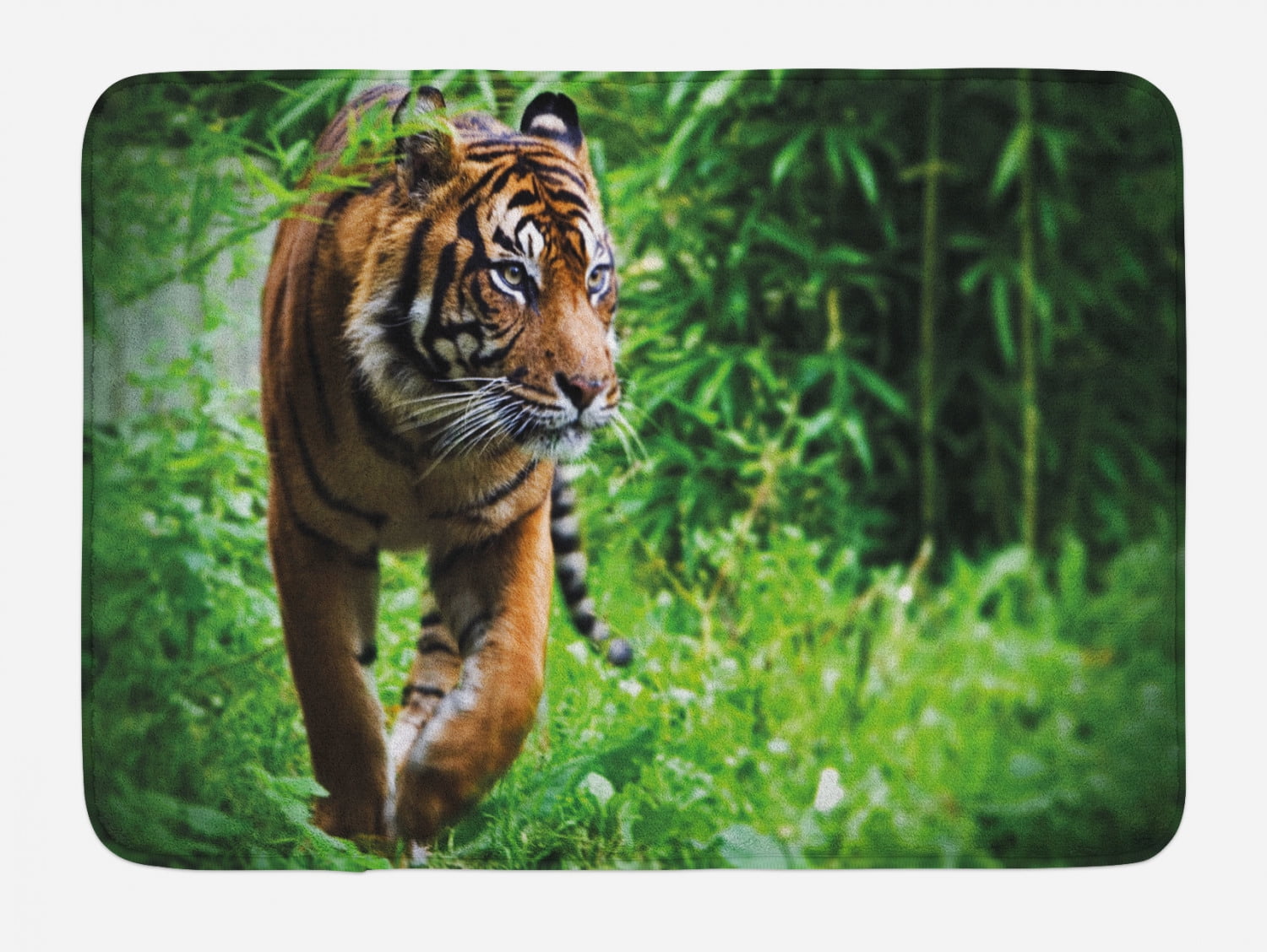 Tiger Bath Mat, Siberian Large Feline at Zoo Wildlife at Captivity
