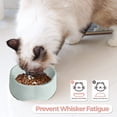 thumbnail image 5 of Pet Bowls Food Dishes & Water Bowl for Dogs, Cats or Other Small Animals, 5 of 5