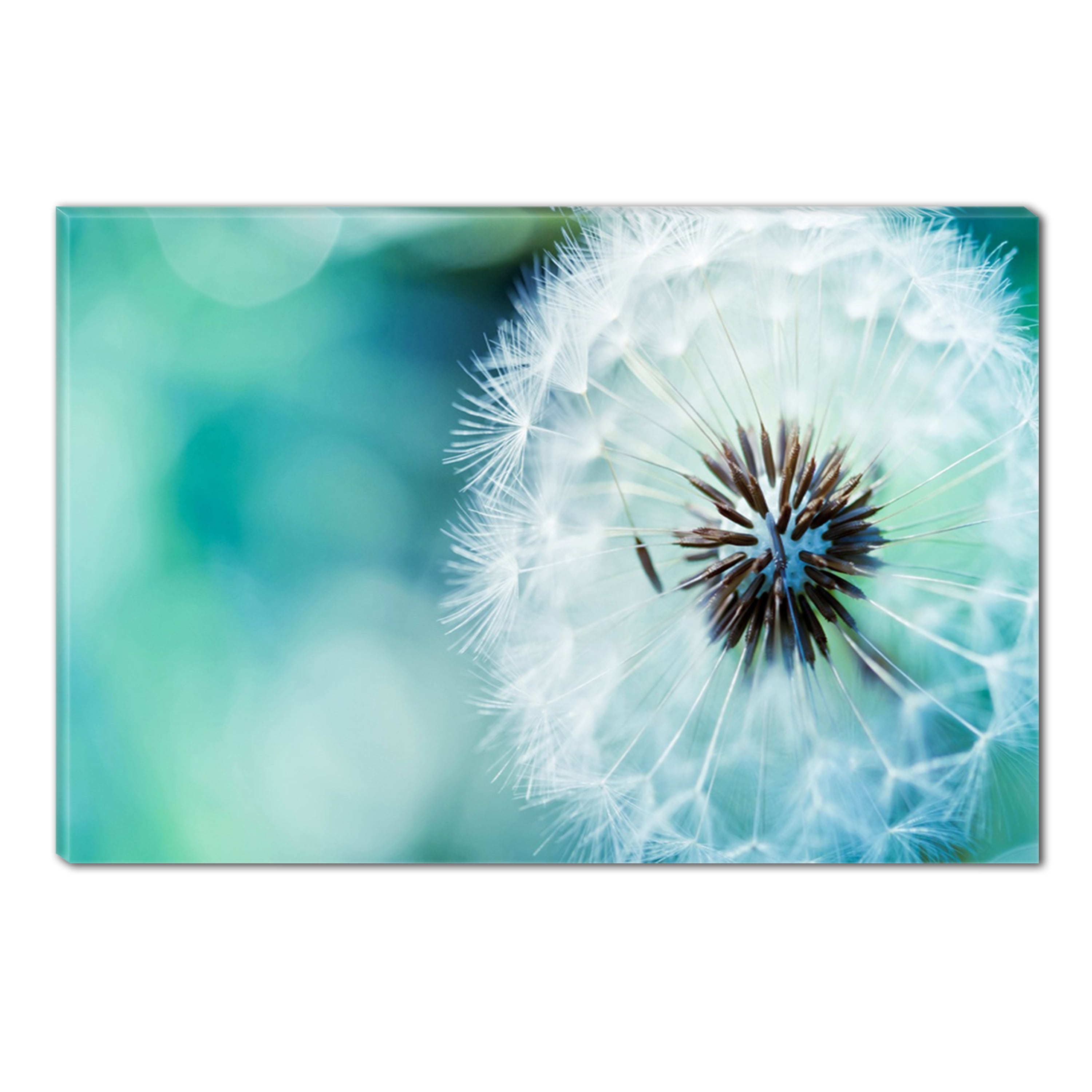 Startonight Canvas Wall Art Blue Dandelion, Dual View Surprise Artwork