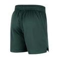 thumbnail image 3 of Men's Nike Green Michigan State Spartans Mesh Performance Shorts, 3 of 3