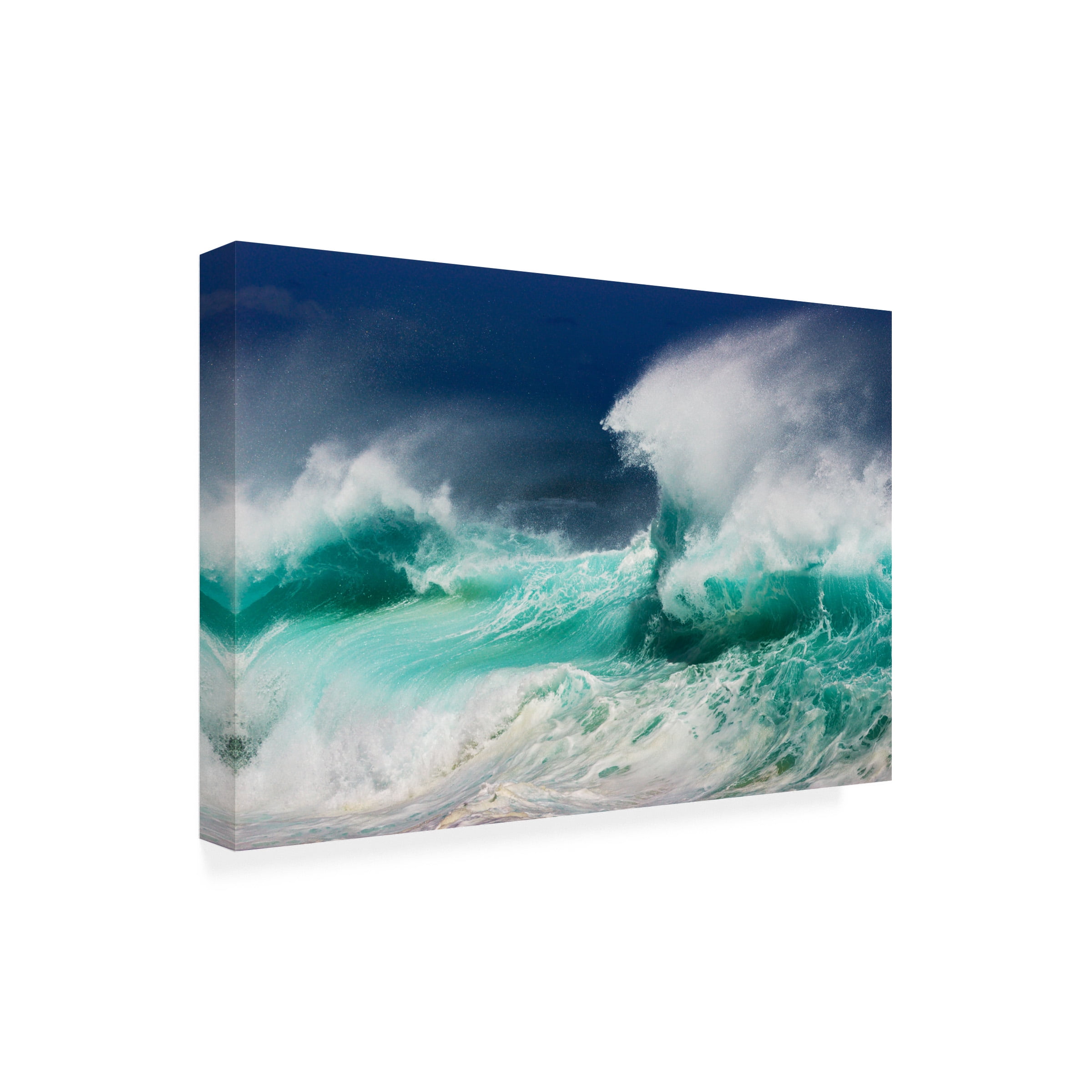 Ralf Prien 'Dead Mans Beach' Outdoor Canvas