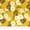 Orange And Green Butterfly, variant on Singer Print Fabric, 100% Premium Cotton, Quilt Sewing, 44 inch, Daisys On Yellow, Cut by Yard