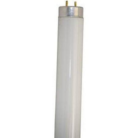 

Replacement for DAMAR 01793C replacement light bulb lamp