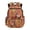Aztec Western Horse, variant on Cool Wolf Backpack for Girls Ages 5-16 Lightweight Bookbag Kids Schoolbag with Adjustable Shoulder for Elementary School Travel