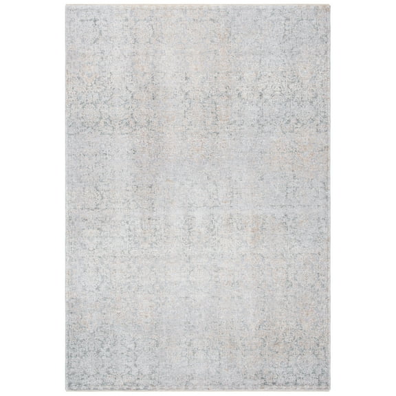 SAFAVIEH Webster Dominic Distressed Area Rug, Grey/Beige, 8' x 10'