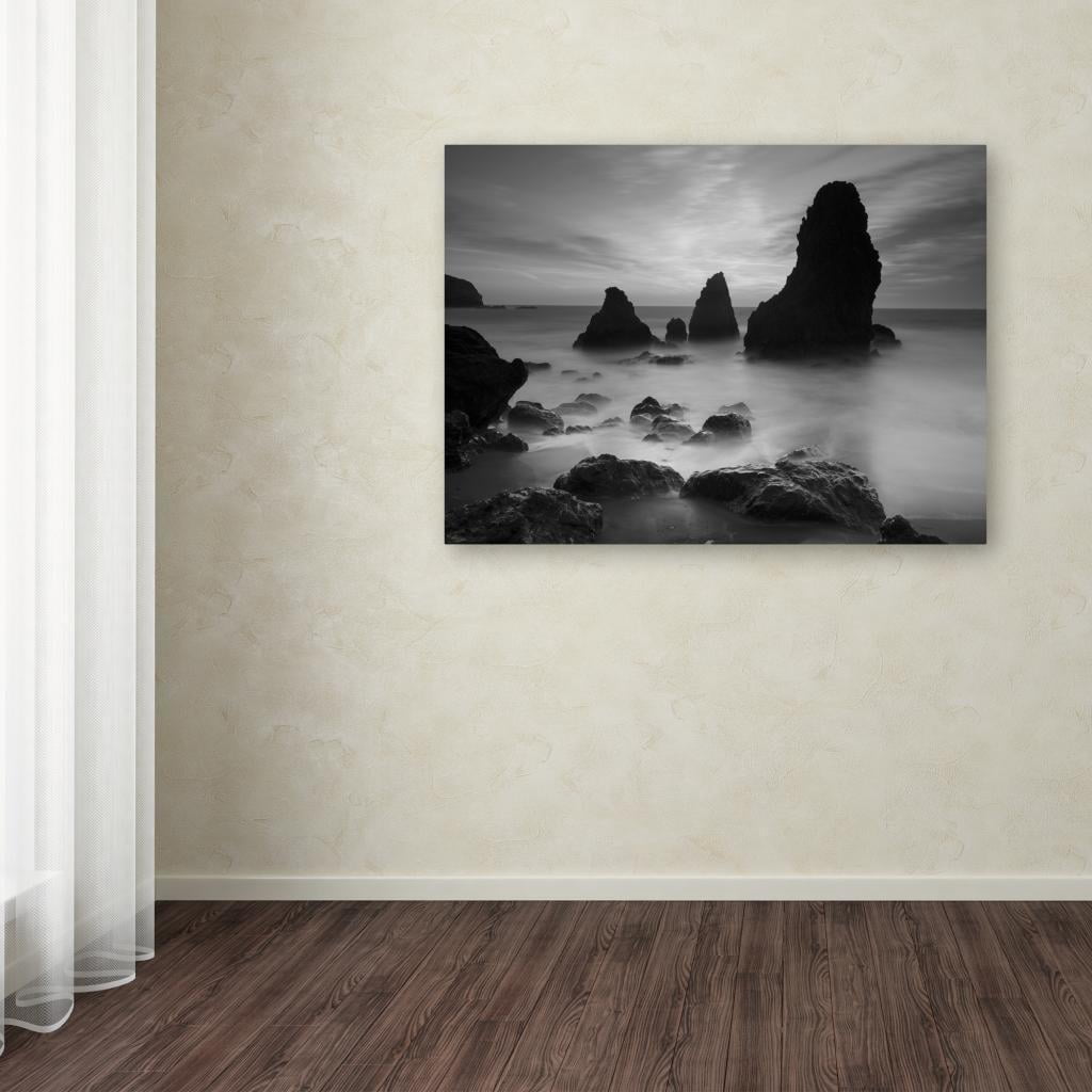 Trademark Fine Art "Rodeo Beach I Black and White" Canvas Art by Moises Levy