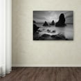 thumbnail image 3 of Trademark Fine Art "Rodeo Beach I Black and White" Canvas Art by Moises Levy, 3 of 3