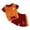 Red, variant on Boys Athletic Shorts Set Kids Quick Dry 2 Piece Red Short-Sleeve T- Shirt and Active Shorts Set Performance Gym Summer Outfits Basketball Football Sets 4T