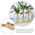 thumbnail image 4 of Hydroponic Plant Glass Bottle Desktop Bamboo Small Pots Flower Vase Terrarium Home Forniture Decor Decoration, 4 of 6