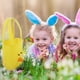 thumbnail image 2 of Paño para dulces Cubos con forma de conejito para niños Bolsa Conejo Pascua Pollo Almacenamiento Huevos Almacenamiento textil para el hogar, 2 of 6
