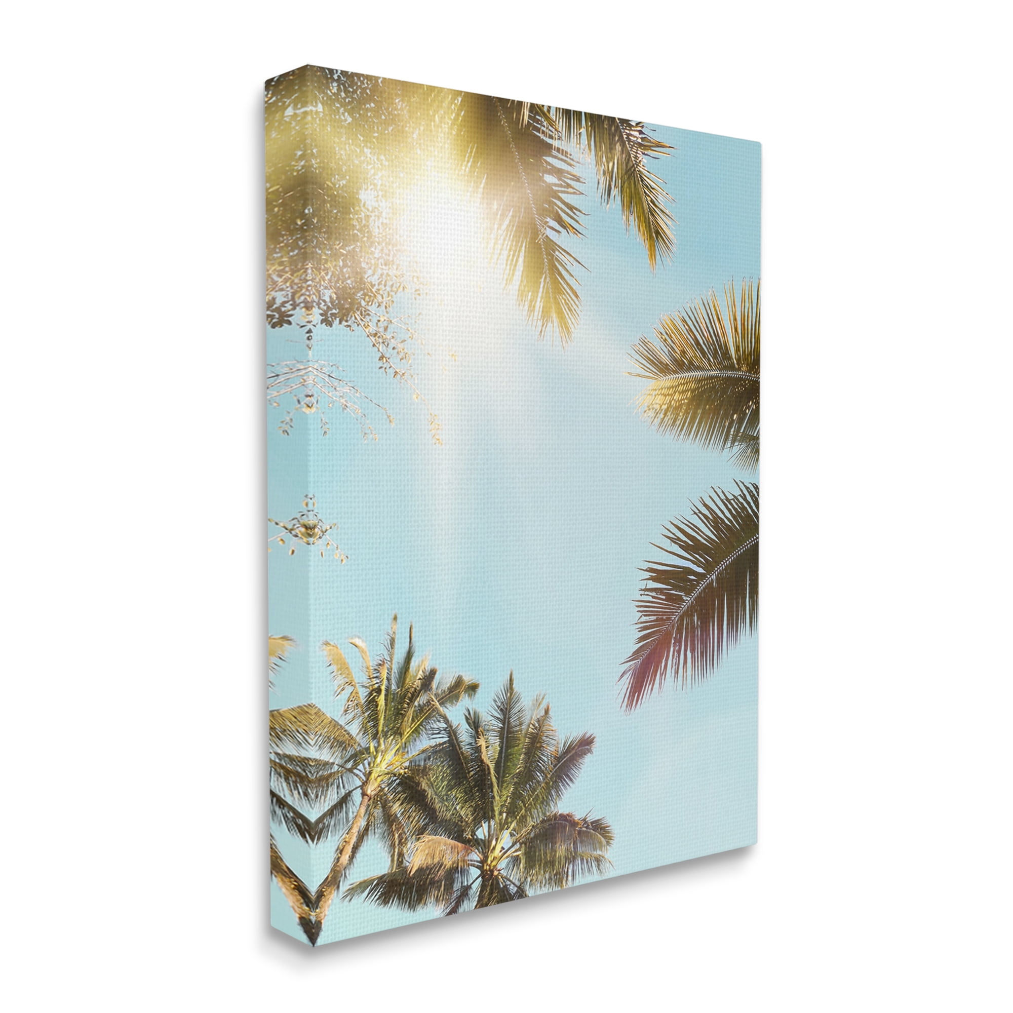 Stupell Industries Sunny Palm Leaves Photography Nature Photography Gallery Wrapped Canvas Print Wall Art, 24 x 30