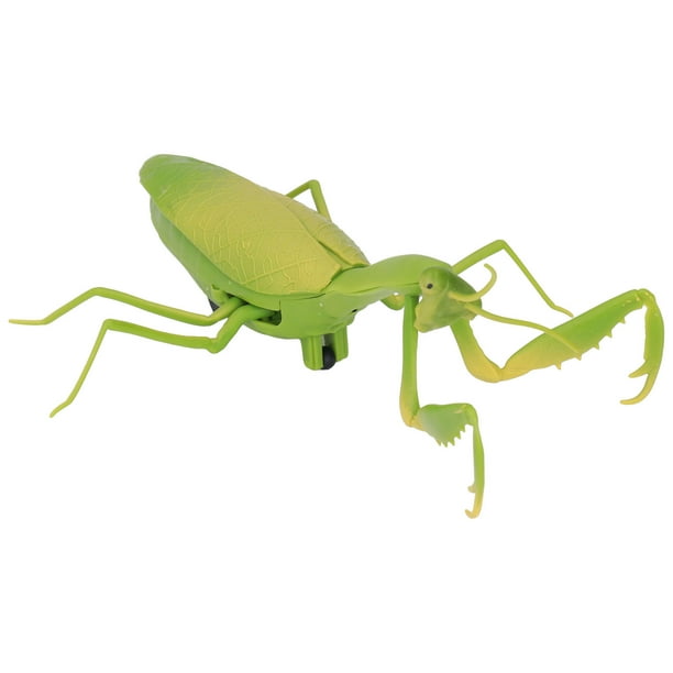 Remote Control Mantis RC Mantis Toy,RC Mantis Niños Control Remoto Simulado Mantis Mantis ...