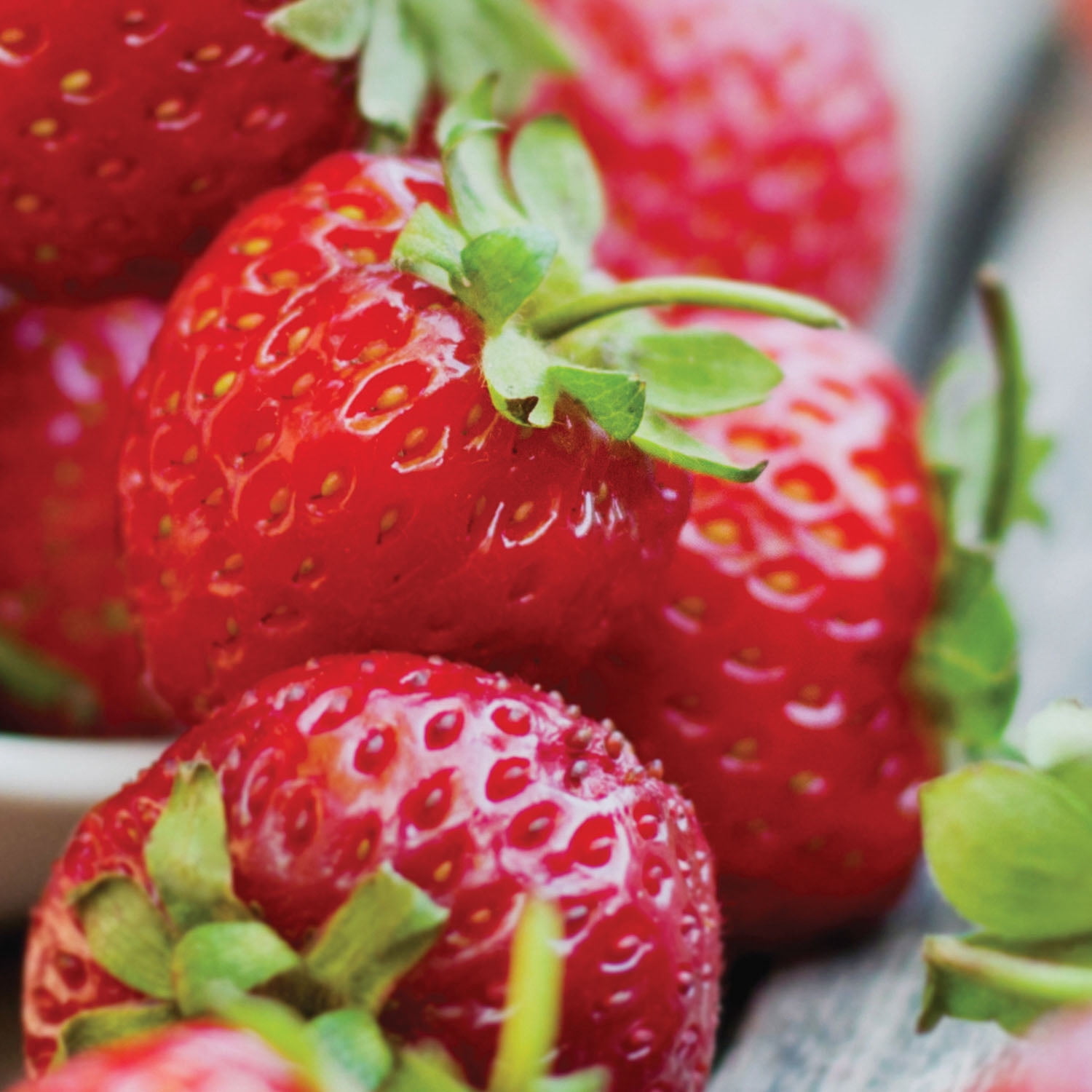Expert Gardener Strawberry Collection (Set of 30 Bundled Dormant