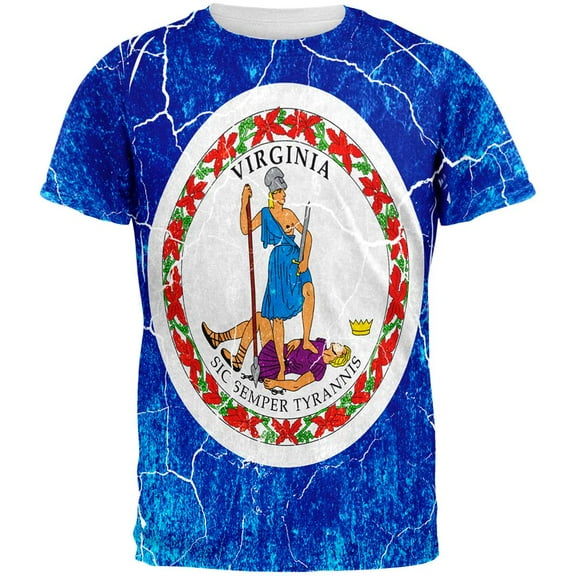 Virginia Vintage Distressed State Flag All Over Mens T Shirt Multi X-LG