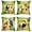 Tropical Animals-1, variant on AEXTO Tropical Birds Parrot Toucan Throw Pillow Covers 18 x 18 Inch Set of 4 Flowers Leaves Outdoor Decorative Pillow Cases Polyester Linen Cushion Covers for Sofa Couch Car Bedroom Home Decor