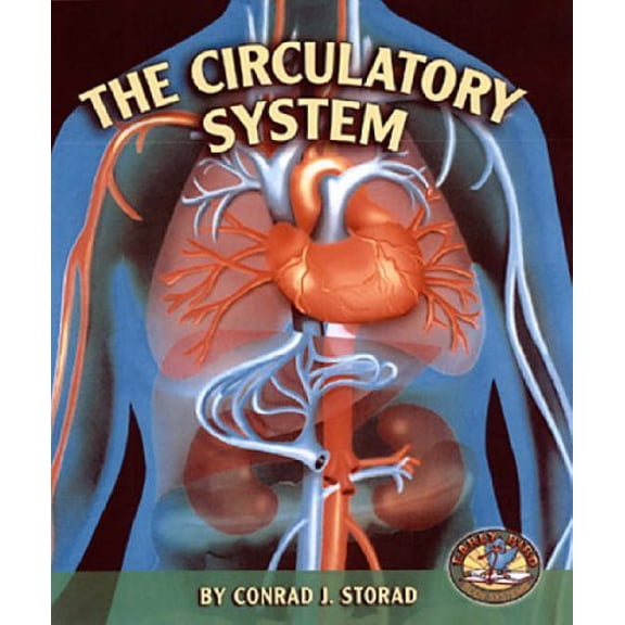 Pre-Owned The Circulatory System (Early Bird Body Systems) (Paperback) 0822525186 9780822525189