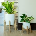 thumbnail image 3 of Set of 2 10" & 8" Cathedral Ceramic Planter, 3 of 5