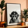 thumbnail image 3 of baby monkey - Photography Animal Wildlife Black and White Portrait Nature Illustration Black Framed Wall Art Print 12 x 18 inches, 3 of 8