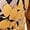 Yelow Floral, variant on Print Drawstring Gathered Salsa Tango Cha Cha Cha Latin Ballroom Dancing Outfits Top