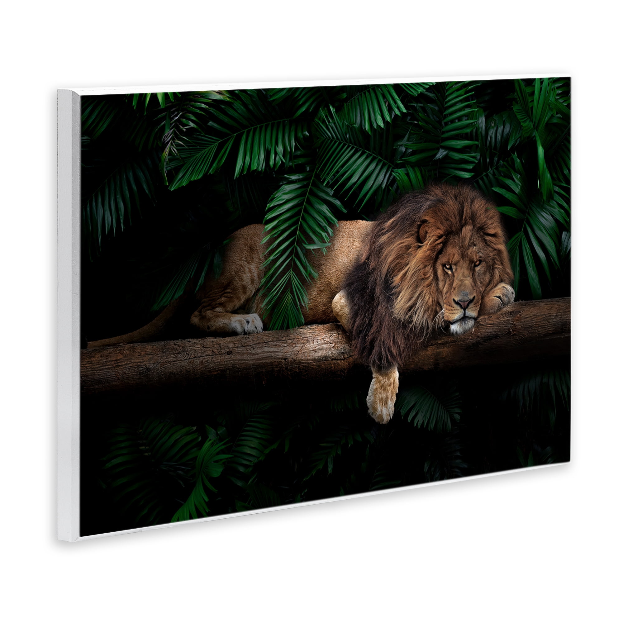 Stupell Industries Lion on Tropical Branch Animals Painting Unframed Art Print Wall Art, 19 x 13