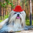 thumbnail image 3 of FONDOTIN  Pets Costumes Red Non-woven Cowboy Hat for Dogs 1Pack, 3 of 6