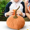 thumbnail image 4 of Mini Velvet Pumpkin Decor Set for Fall, 7cm Soft Fabric Pumpkins in 10 Colors, Versatile Seasonal Decorations for Thanksgiving, Weddings, and Tabletop Displays, 4 of 5