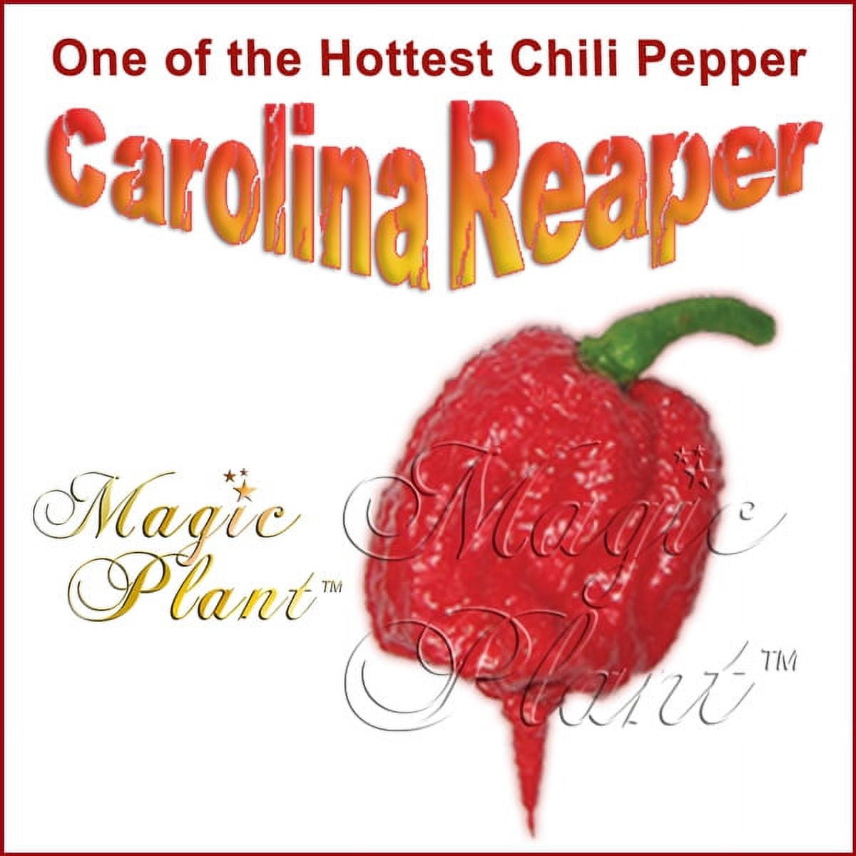 Carolina Reaper Powder / Carolina Reaper Pepper(1lb) Hottest Chili Powder